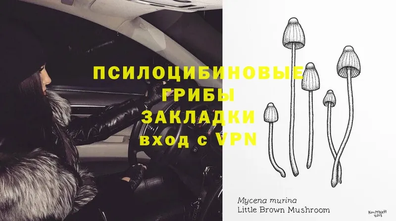 мега ссылки  Михайловск  Галлюциногенные грибы MAGIC MUSHROOMS 